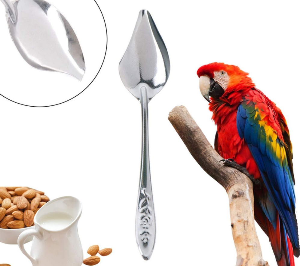 stainless steel feeding spoon for parrots 